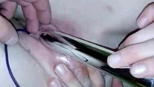 ginger self activity with toys