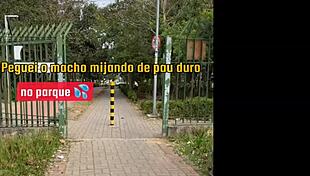 gay homemade amateurs enjoy outdoor bareback sex in a suggestive intimate setting with raw passion