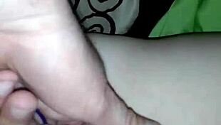 ginger self activity with toys