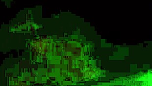 Late Night Freedom Unleashed!