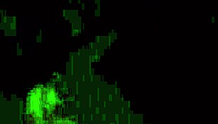 Late Night Freedom Unleashed!