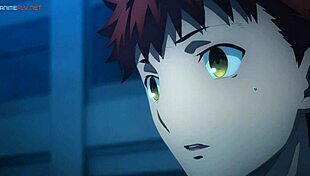 fate stay night heavens feel 1 presage flower