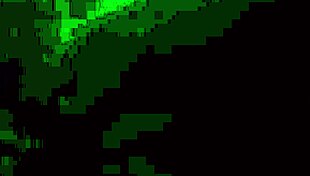 Late Night Freedom Unleashed!