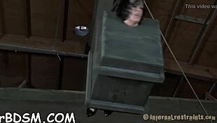 Punish That Brunette Slave With Toys Now!