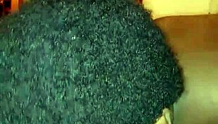 Oral Pussy Licking Session