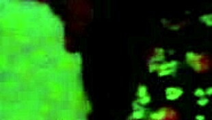 perla rides and moves so nicely on that dick