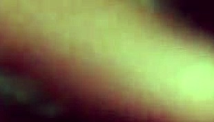 perrita, you sexy little thing?