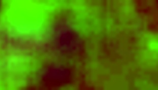 perla rides and moves so nicely on that dick