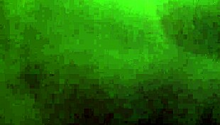 Intense sucking session