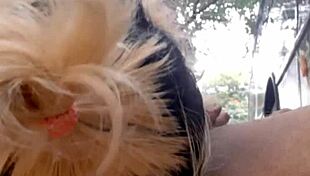 hey, that dark-skinned guy did a tasty 69 with me, sucked my cock and came on my face 😍