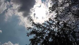 czech teen masturbates outdoors in the sun