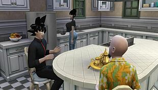 Chichi Trained By Roshi