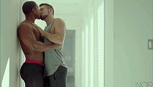 Interracial gay kissing and fucking turns intense!