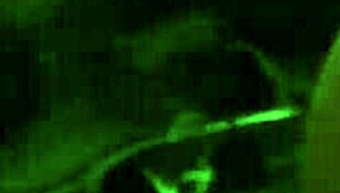 Chupando Verga Grande Sucking Big Dick