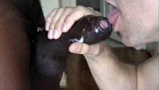 That old black magic, gay?