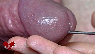 Sounding Session With Close Up