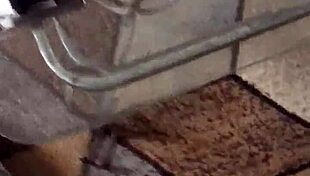 Milfs give amazing blowjobs!