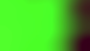 Sexy Latina Gives Head in Car