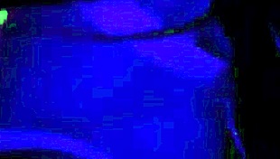 Fucked Well-Endowed Black Guy in Night Club VIP