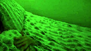 Stepmom Helena Price banishes nightmares in part 1! Wca Productions