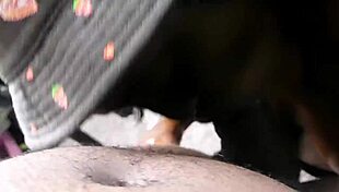 damn, sloppy dick sucking by ebony teen 18+ couple