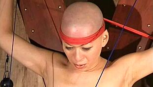 Bald slave bound for toe whipping