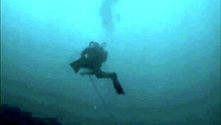 dark lantern entertainment presents the dragonfly with hairy pussy fucking