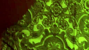 me getting fucked four ways in favorite position