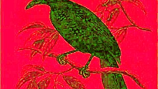 dark lantern entertainment presents the dragonfly with hairy pussy fucking