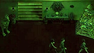 Horny Girls Fuck Doggystyle and Cowgirl on Big Cocks!