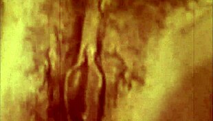 dark lantern entertainment presents the dragonfly with hairy pussy fucking