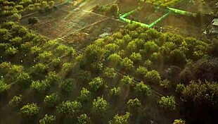 Betty Loop in debut, fucking Victor Bloom's monster cock hard?