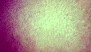 Balls deep fucking my not sister intensely