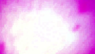 Creampie My Wife From Behind