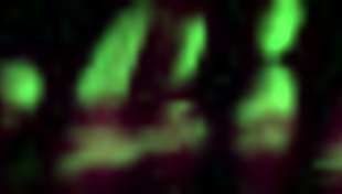 A New Generation of Big Tits Compilation with Music