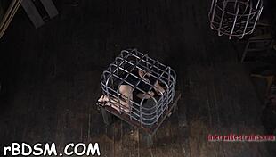 hardcore toy gratifying for bound chick in rough bondage