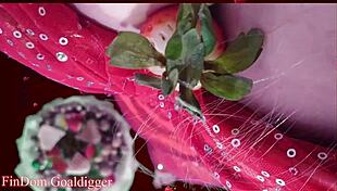 food porn in financial domination style