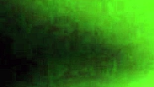 my wife loves sucking dick