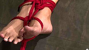 Two babes bound in bondage, experiencing intense orgasms and cum together