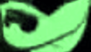 Lasirena And Tru Kait Share A Monster Cock In Doggy And Deepthroat.