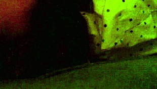 i fucked amber crider's fat ass and came all over her