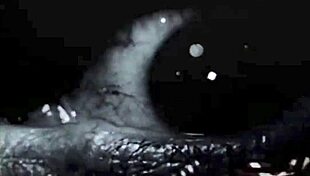 what's vintage interracial anal like, hairy and antique?