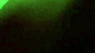 big cock creampie fucks the neighbor