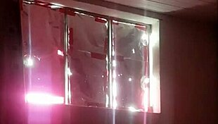 I Came To Visit My Little Cousin