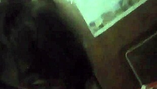 trans chriss sucking cock of chacal