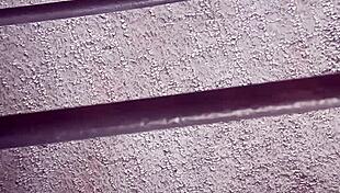 Thomas Odea boldly uses toys on big cock in gay action