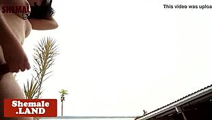 solo transsexual says, i'm wanking my cock outdoors.