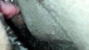 ebony milf in interracial amateur encounter