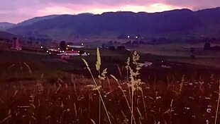 Wives Heat Up and Fuck in the Forest