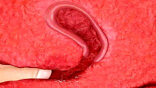 Basara's Japanese Asian Big Ass Adventure